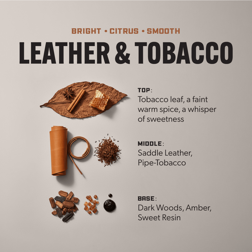 Heavy Duty Premium Laundry Detergent (100 Loads) -  LEATHER & TOBACCO